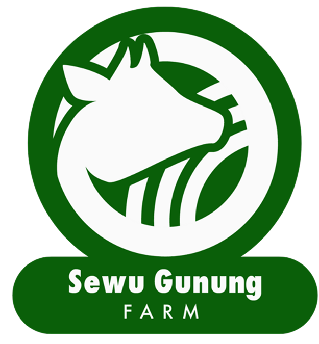 Desain tanpa judul (99) 1